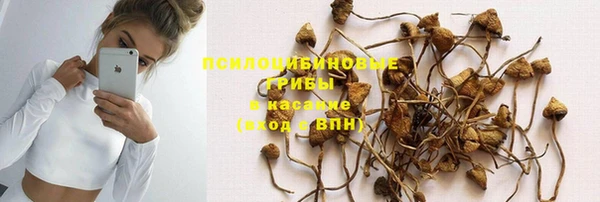 стаф Козловка