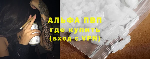 стаф Козловка