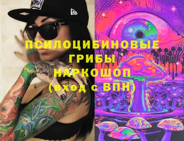 дурь Корсаков