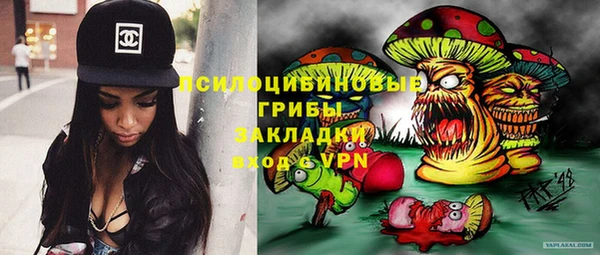 стаф Козловка