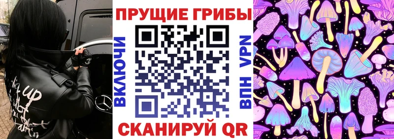 Псилоцибиновые грибы ЛСД  цена наркотик  mega как зайти  Стародуб 