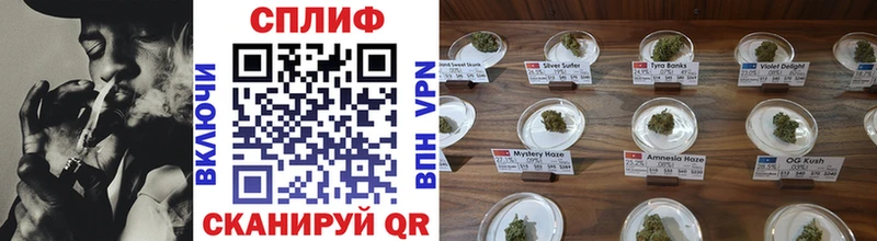 Каннабис SATIVA & INDICA  kraken маркетплейс  Стародуб 